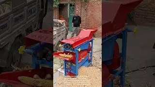 Small-Scale Corn Harvesting:  Efficient and Simple