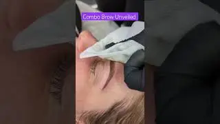 PMU Combination Eyebrow- Brow Reveal
