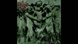 Blessed in Sin - Hierophant