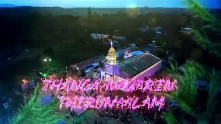 THANGA-NAGARIN THIRUNAALAM I FEAST SONG I Fr. ANANDA XAVIER I MOTHER OF MINES SHRINE KGF