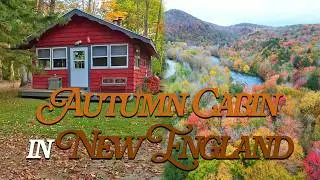 🍁 Hunting Peak Fall Foliage 🍁 while staying at a Cozy Vermont Cabin #autumnfoliage #cabintrip