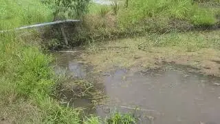 No sitio, muita falta de &aacute;gua pra molhar as planta&ccedil;&otilde;es, fazendo valeta. 