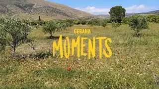 gebana MOMENTS: Spaziergang &uuml;ber das Sommerorangenfeld in Griechenland