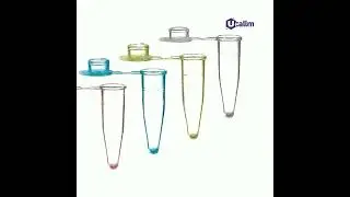 The Color Code of PCR Tubes: Function in a Rainbow