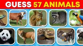 Guess 57 Animals | From Easy to Extreme | Animal Quiz 2025