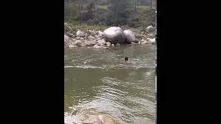 uttrakhand champawat lohaghat  river lohavati meti