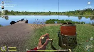 RF4 Trophy common carp Spot