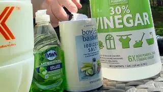 How to kill poison ivy the natural way&hellip;.. Very effectively!