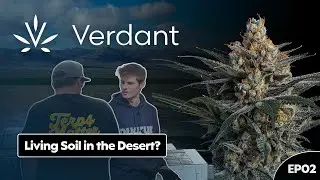 Inside Verdant | Arizona's Largest No-Till Living Soil Grow