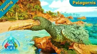  Tame Pelagornis for Epic Polymer Farming in Ark Survival!