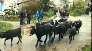 la primer feria de cieza