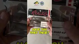 Versa shad