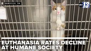 71-percent euthanasia rates at Virginia humane society dropping down