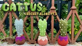 Cat Cactus  (Cattus) Amigurumi Crochet Along Part Two