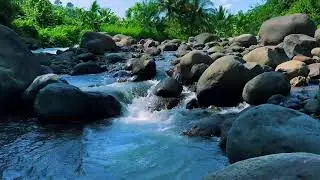 Serene River Flow White Noise | Peaceful Stream Ambience for Deep Rest and Meditation