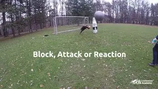 Goalkeeper training: Block, attack or reaction