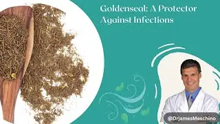 Goldenseal: A Protector Against Infections