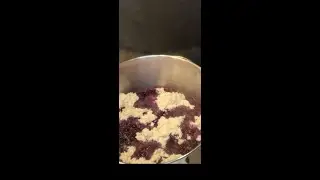 Blueberry grunt
