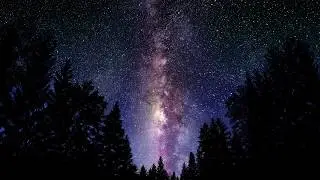 Floating down a Peaceful River | 15 Minutes Guided Meditation