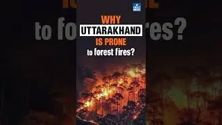 Uttarakhand Forest Fire : Why is Nainital Burning? | UPSC Current Affairs 2024
