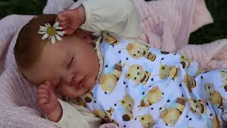 Reborn Quinbee by Laura Lee Eagles