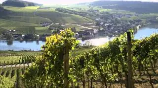 Faszination Wein - S&uuml;dliche Weinmosel