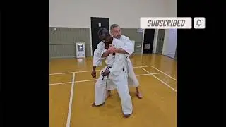  Seiyunchin kata applications #bunkai #karate #martialarts #iamiogkf #gojuryu #selfdefense 