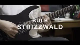 Bulb - Strizzwald (Guitar Cover)
