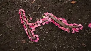 land art / celf tir