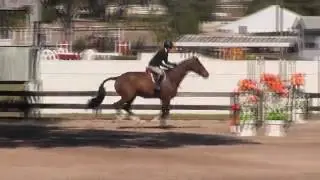 Video of CANDIDATE ridden by TAYLOR ANN ADAMS from ShowNet!
