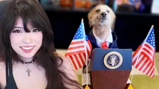 Best Pet Videos of the Decade | Emiru Reacts to @DailyDoseOfInternet
