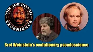 Bret Weinstein's evolutionary pseudoscience