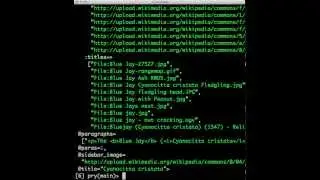 Wikiwhat - Demo