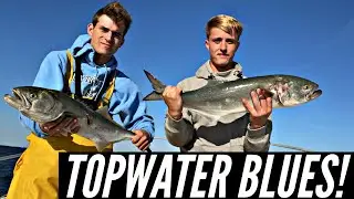 Topwater Bluefish! Two Fish On ONE Lure! Long Island Fishing! 2022