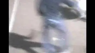 show a fornacelle (gara di incroci e giochetti)