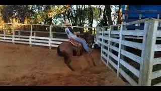 Base de Aparta&ccedil;&atilde;o para o Ranch Sorting.