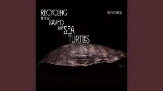 Recycling Never Saved Any Sea Turtles