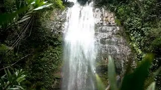 Peaceful Forest Waterfall | Nature Scenery