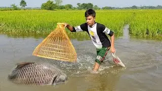 Primitive Fishing Technique 🐬🐬 Traditional Fish Hunting With Polo | Bamboo Tools Fish Trap