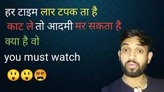 World's Biggest Lizards Monitor Lizard Videos part 2|types of lizard with name|Komodo dragon
