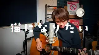 猫になりたい / スピッツ  Covered by 近藤薫 #ギター弾き語り（使用ギター：Martin D-18） マイク：NEUMANN U87 ＋ KM184