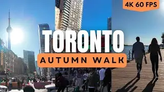 Toronto 4K City Walk Downtown & Harbourfront no commentary