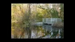 Caumsett State Park Year Round