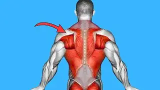 Most People Skip This Upper Body Muscle