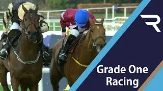 2019 Unibet Irish Gold Cup  - Racing TV