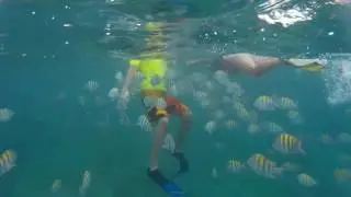 Snorkeling at Bavaro Beach in Punta Cana