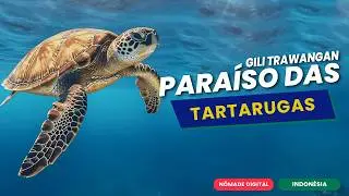 QUANTO CUSTA SER NÔMADE DIGITAL EM GILI TRAWANGAN, NA INDONÉSIA | *principais gastos durante 26 dias
