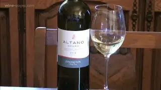 Symington Family Estates, Altano Douro Branco 2016, wine review