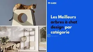 Quel arbre &agrave; chat design choisir ? | Guide audio Wanekat (IA)