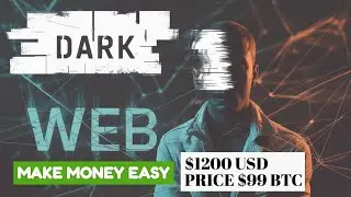 Dark Web PayPal Transfers | Real Money or Real Danger?